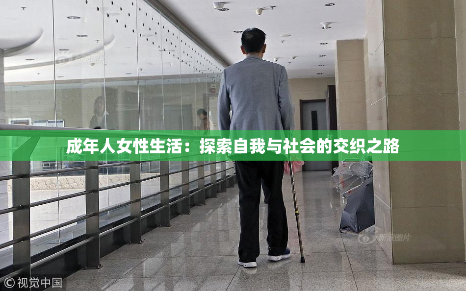 成年人女性生活：探索自我与社会的交织之路