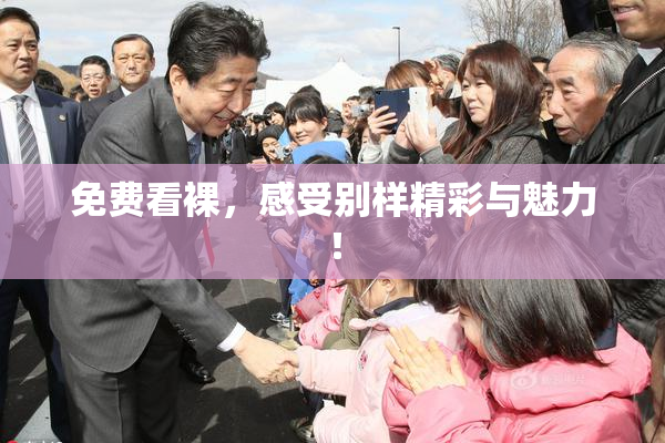 免费看裸，感受别样精彩与魅力！