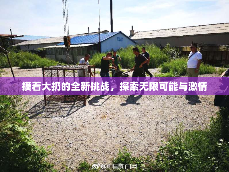 摸着大扔的全新挑战，探索无限可能与激情