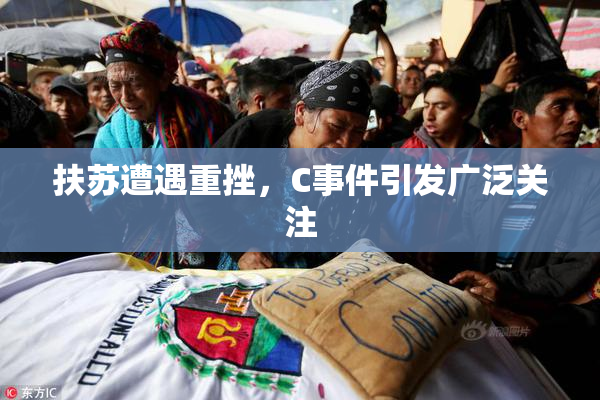 扶苏遭遇重挫，C事件引发广泛关注