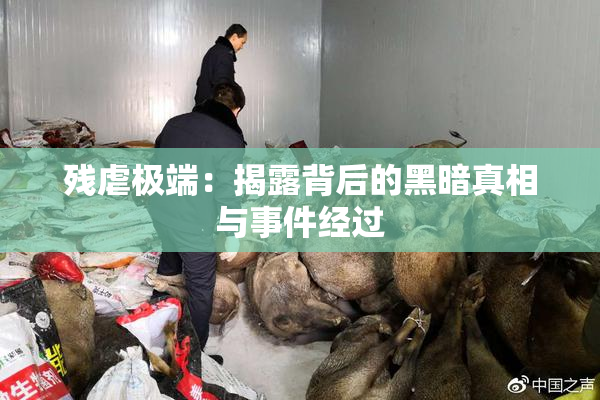 残虐极端：揭露背后的黑暗真相与事件经过