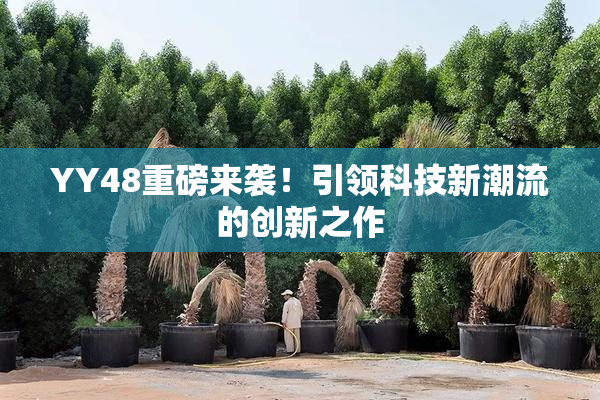 YY48重磅来袭！引领科技新潮流的创新之作