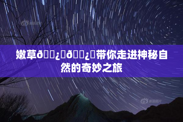 嫩草🌿‌🌿‌带你走进神秘自然的奇妙之旅