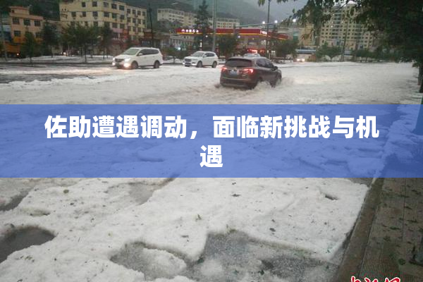 佐助遭遇调动，面临新挑战与机遇
