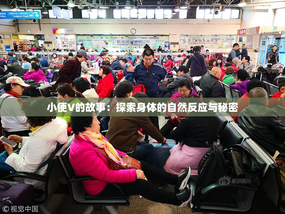 小便V的故事：探索身体的自然反应与秘密