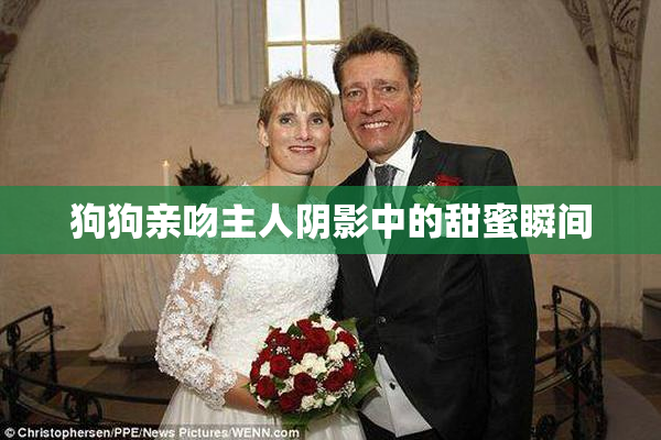 狗狗亲吻主人阴影中的甜蜜瞬间