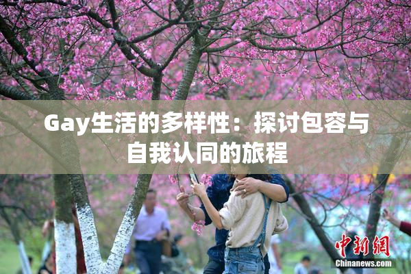 Gay生活的多样性：探讨包容与自我认同的旅程