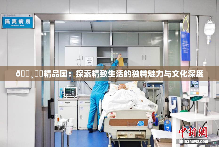 🌸‌✿精品国：探索精致生活的独特魅力与文化深度