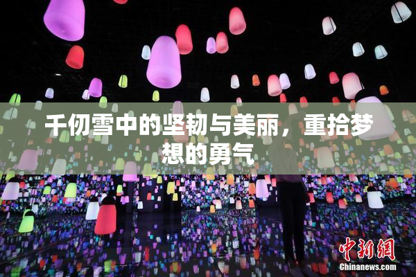 千仞雪中的坚韧与美丽，重拾梦想的勇气