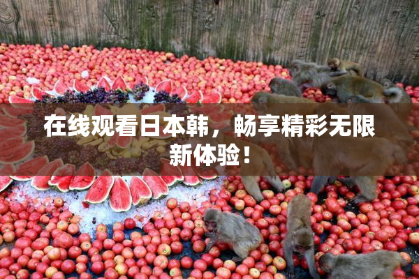 在线观看日本韩，畅享精彩无限新体验！