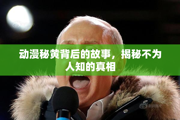 动漫秘黄背后的故事，揭秘不为人知的真相