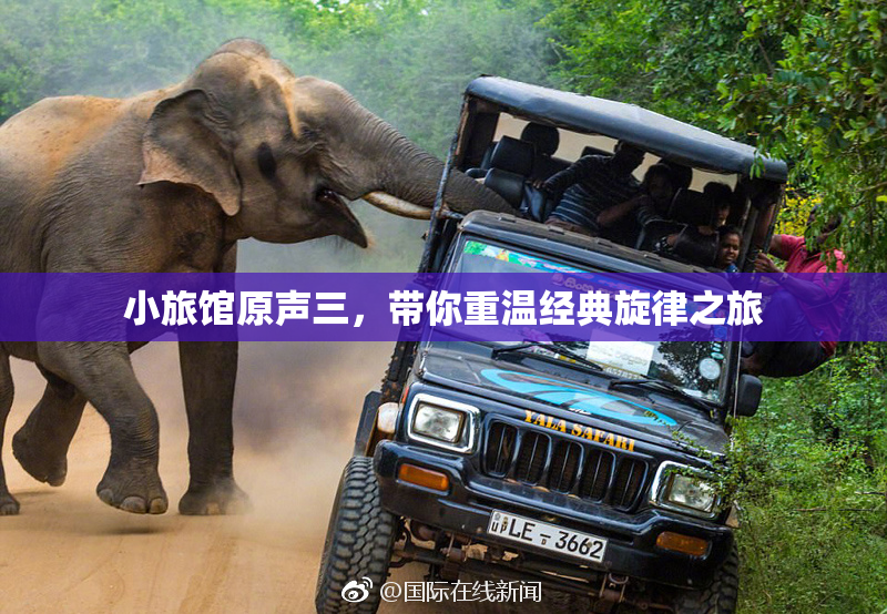 小旅馆原声三，带你重温经典旋律之旅