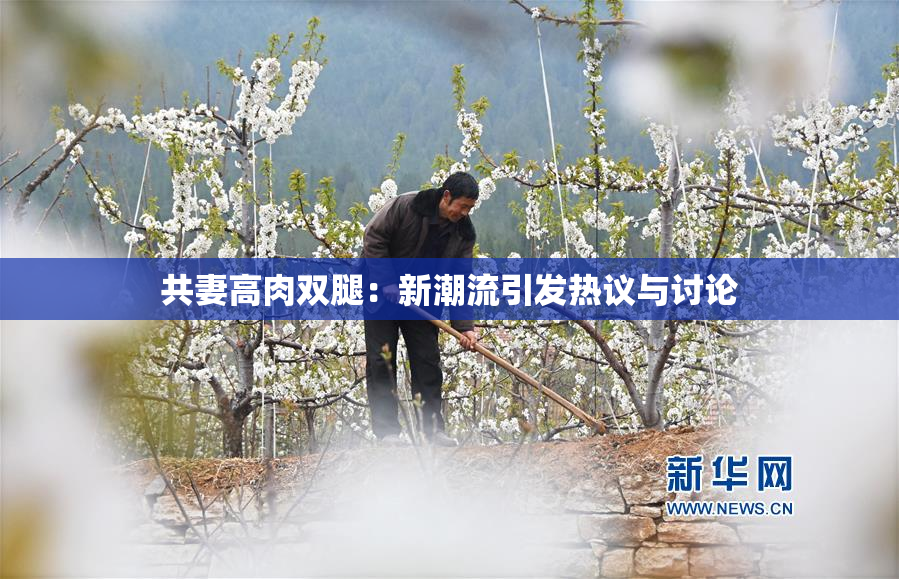 共妻高肉双腿：新潮流引发热议与讨论