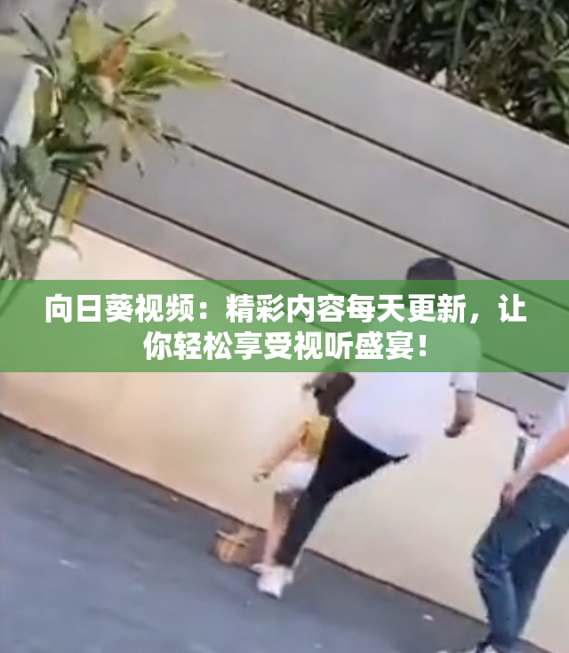 向日葵视频：精彩内容每天更新，让你轻松享受视听盛宴！