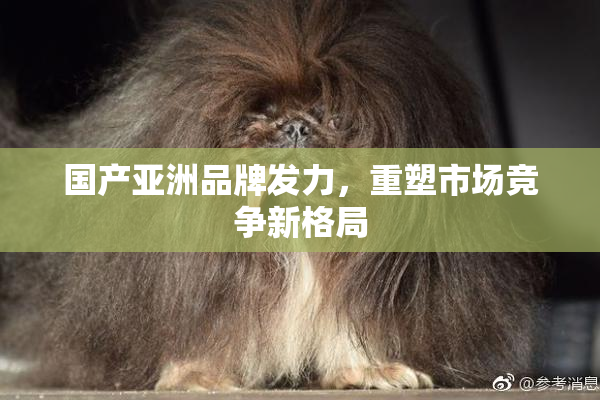 国产亚洲品牌发力，重塑市场竞争新格局