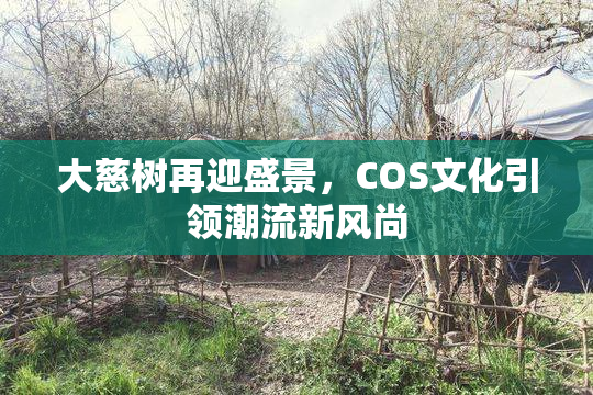大慈树再迎盛景，COS文化引领潮流新风尚