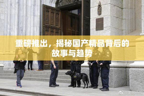 重磅推出，揭秘国产精品背后的故事与趋势