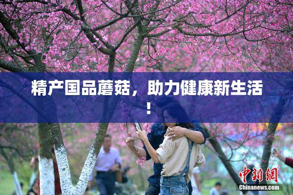精产国品蘑菇，助力健康新生活！