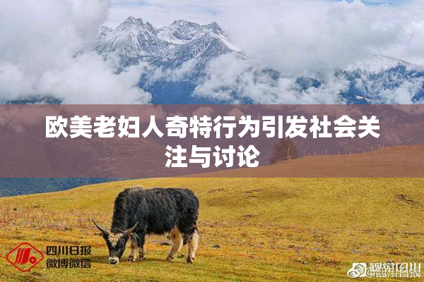欧美老妇人奇特行为引发社会关注与讨论