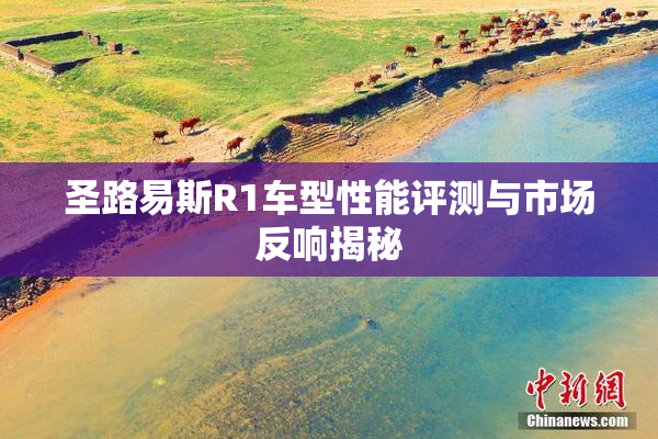 圣路易斯R1车型性能评测与市场反响揭秘