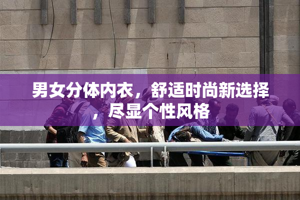 男女分体内衣，舒适时尚新选择，尽显个性风格