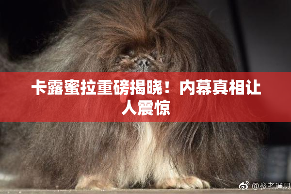 卡露蜜拉重磅揭晓！内幕真相让人震惊