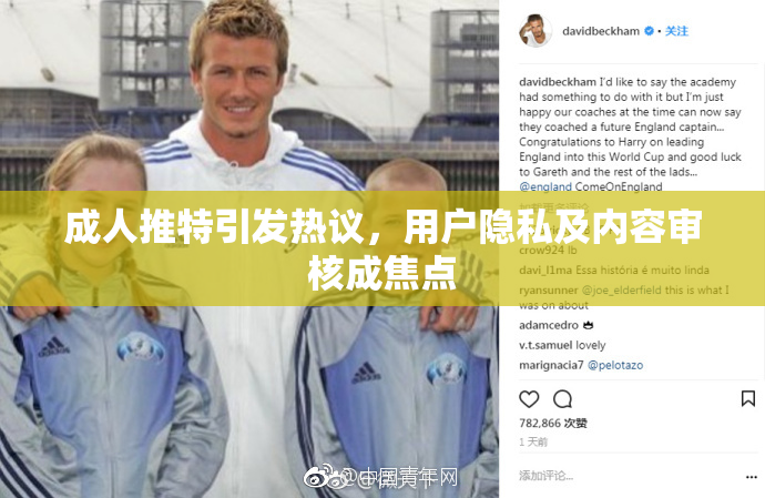 成人推特引发热议，用户隐私及内容审核成焦点