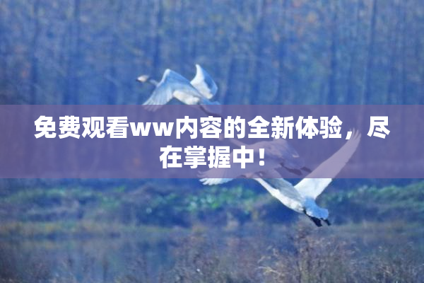 免费观看ww内容的全新体验，尽在掌握中！