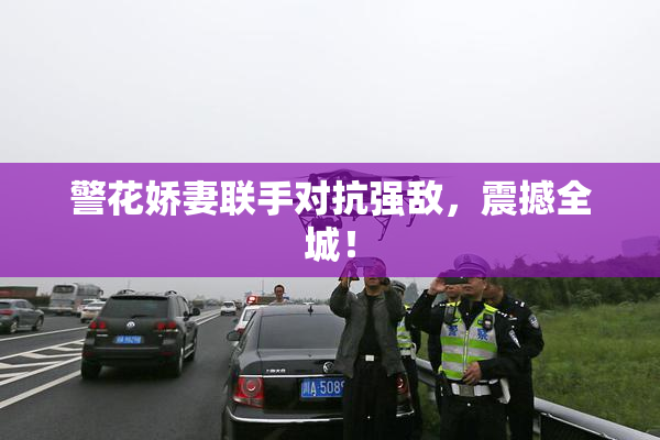 警花娇妻联手对抗强敌，震撼全城！