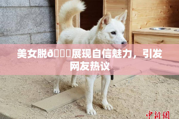 美女脱👙展现自信魅力，引发网友热议