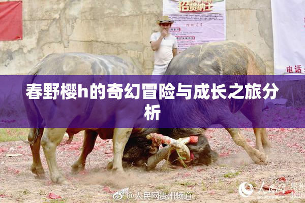春野樱h的奇幻冒险与成长之旅分析
