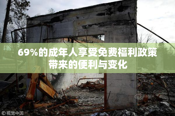 69%的成年人享受免费福利政策带来的便利与变化