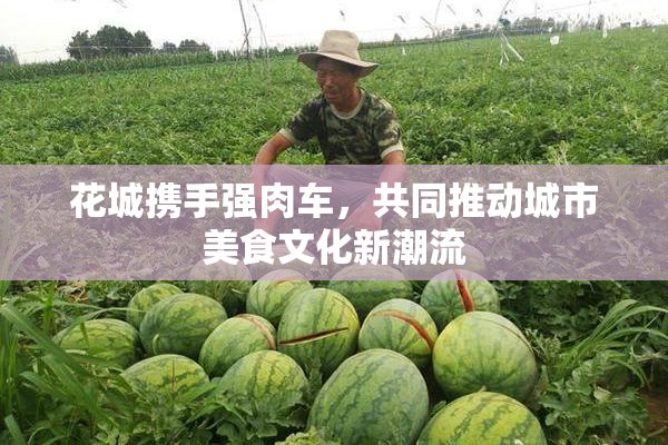花城携手强肉车，共同推动城市美食文化新潮流