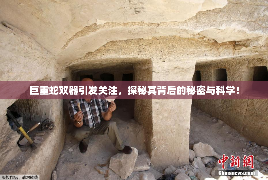 巨重蛇双器引发关注，探秘其背后的秘密与科学！