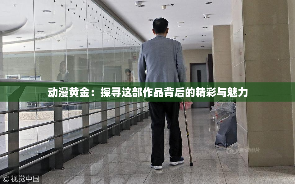 动漫黄金：探寻这部作品背后的精彩与魅力