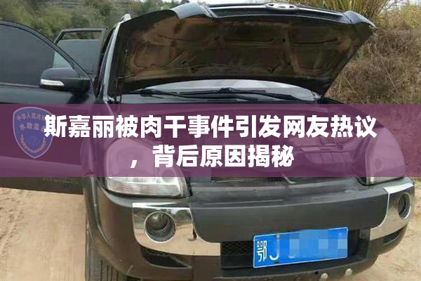 斯嘉丽被肉干事件引发网友热议，背后原因揭秘
