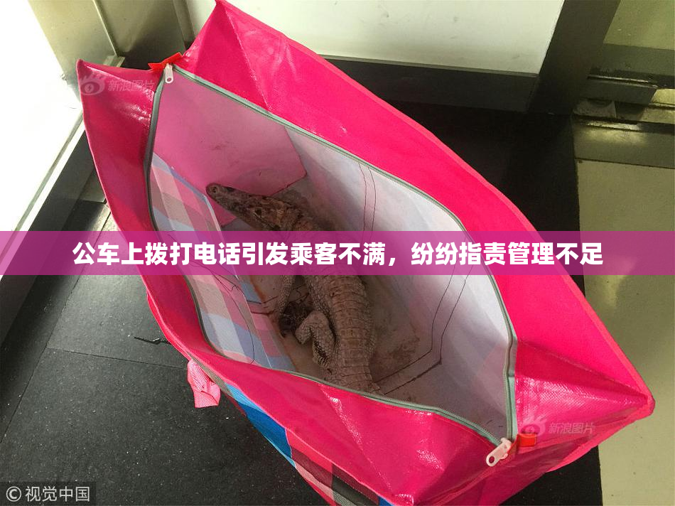 公车上拨打电话引发乘客不满，纷纷指责管理不足