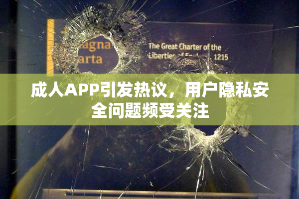 成人APP引发热议，用户隐私安全问题频受关注