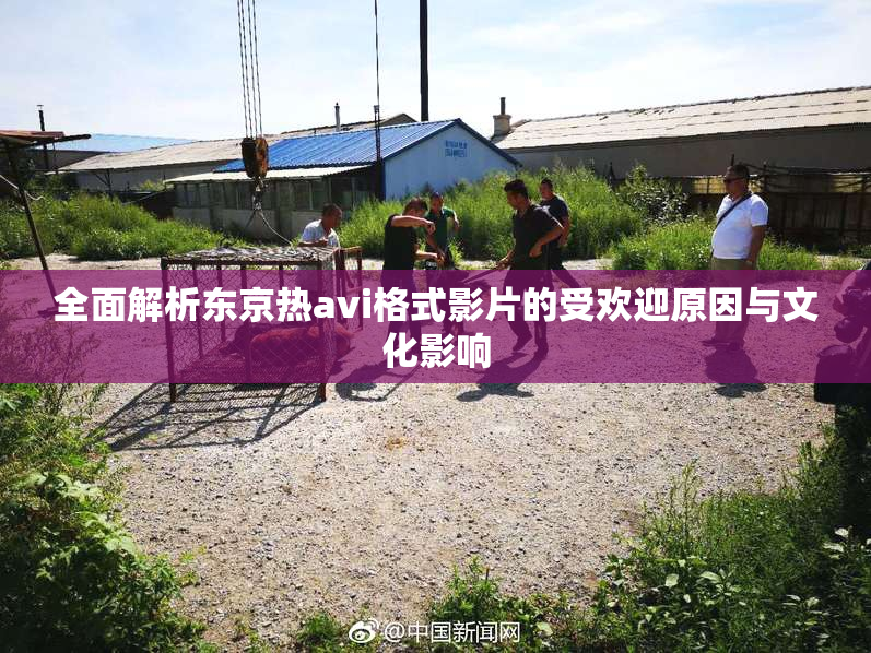 全面解析东京热avi格式影片的受欢迎原因与文化影响