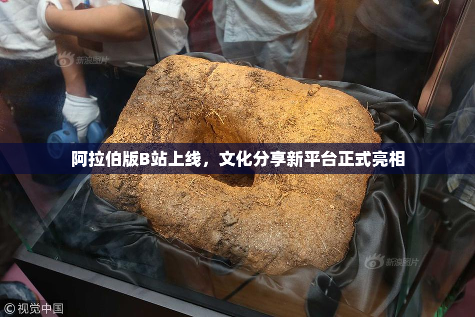 阿拉伯版B站上线，文化分享新平台正式亮相