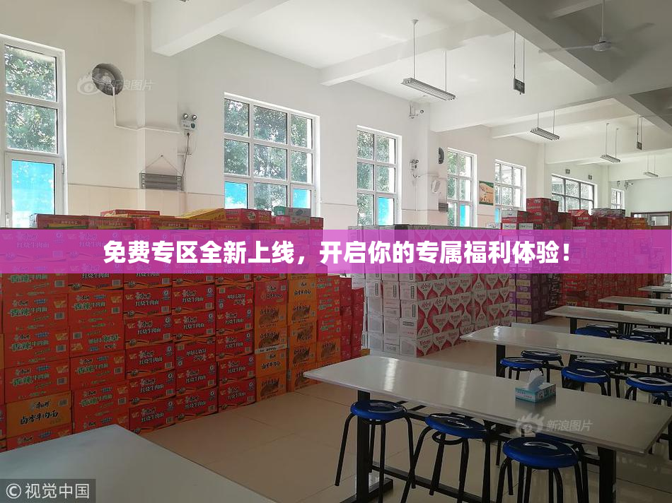 免费专区全新上线，开启你的专属福利体验！