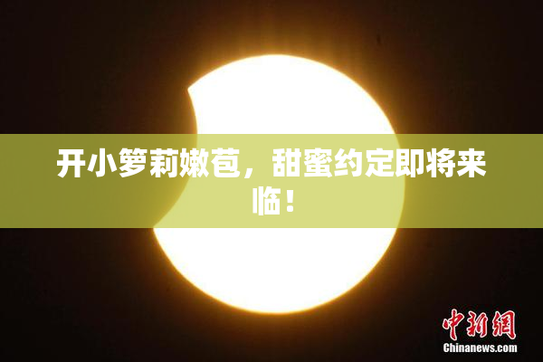 开小箩莉嫩苞，甜蜜约定即将来临！