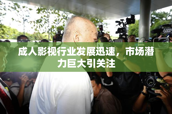 成人影视行业发展迅速，市场潜力巨大引关注