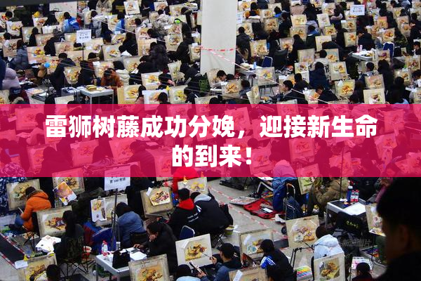 雷狮树藤成功分娩，迎接新生命的到来！