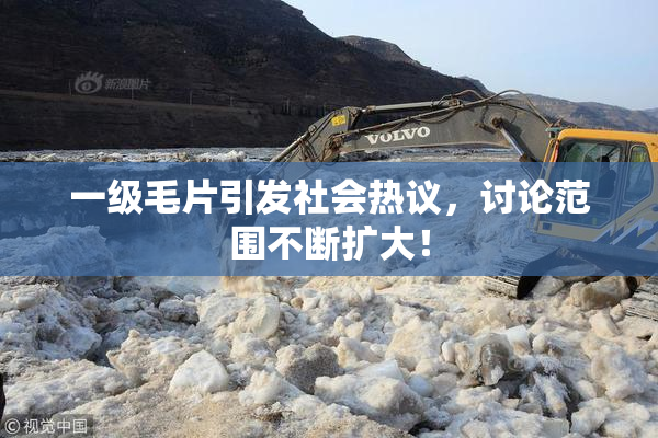 一级毛片引发社会热议，讨论范围不断扩大！