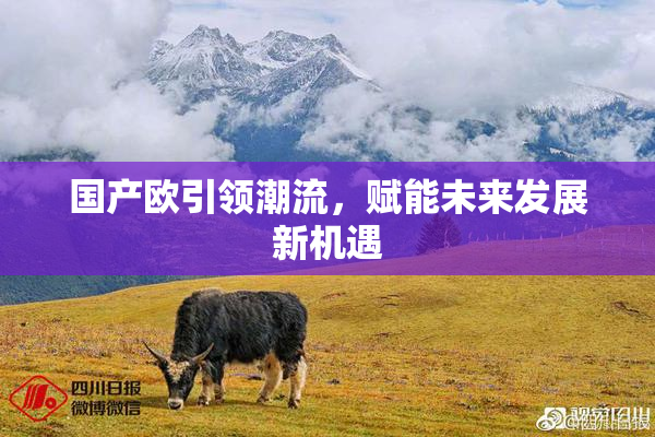 国产欧引领潮流，赋能未来发展新机遇