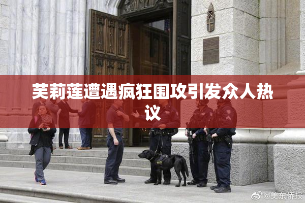芙莉莲遭遇疯狂围攻引发众人热议