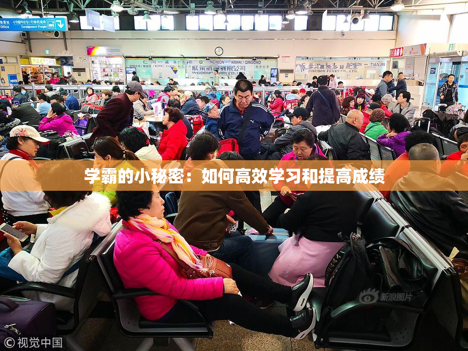 学霸的小秘密：如何高效学习和提高成绩