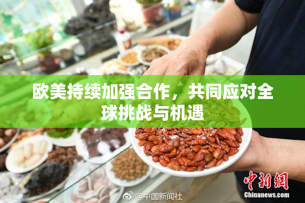 欧美持续加强合作，共同应对全球挑战与机遇