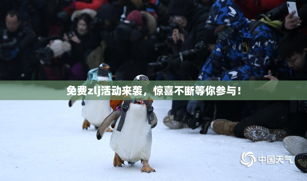 免费zlj活动来袭，惊喜不断等你参与！